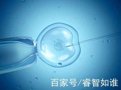 全球医疗